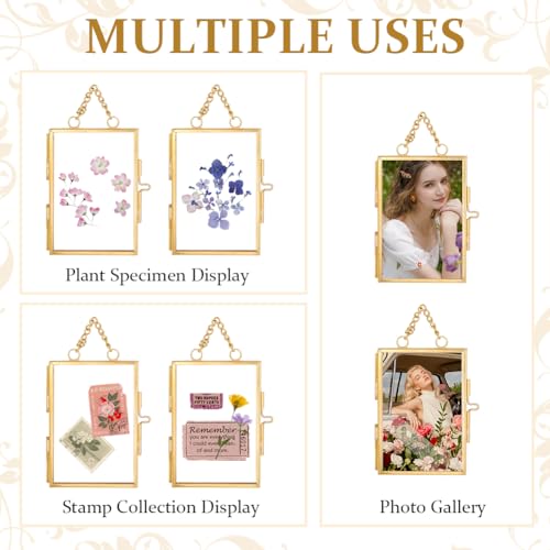 OLYCRAFT 6Pcs Wall Hanging Mini Photo Frames 2x3 Inch Double Glass Picture Frame with Chain Brass Folding Frame DIY Vintage Artwork Display Frames for Pressed Flowers Pictures Home Wall Decor - size: 2x3 Inch