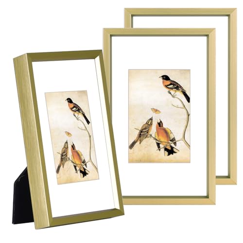 BKABOT 3x5 Brass Aluminum Photo frames 3 Pack HD Glass Mat 2x3 Wall Table - color: Brass, size: 3x5