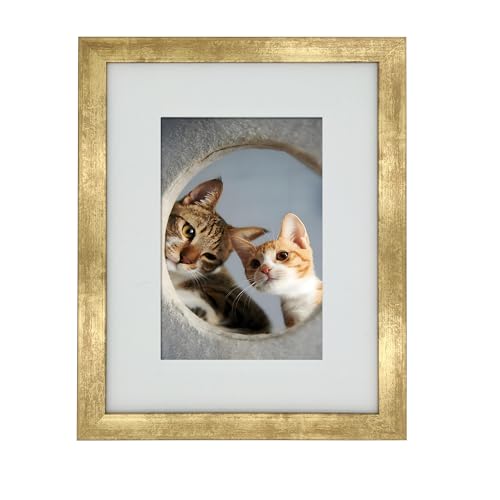 8x10 Photo Frame Gallery Picture frame with 5x7 mat,Freestanding and Wall Mountable,Gold - color: Gold, size: 8x10