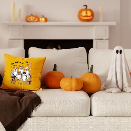 Dtf Transfers Ready to Press - 20Pcs Halloween Ghost Dog Iron on Transfers Ghost Dog Pumpkin Iron on Decals Patches Halloween Dog Heat Transfer Vinyl Stickers for Clothing Pillows Bag DIY Crafts - color: Ghost Dog