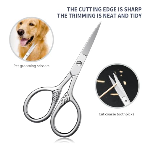 Stainless Steel Small Scissors with Textured Handle - All Purpose for Arts, Crafts, Sewing, Office & Kitchen, Sharp & Durable Cutting Tools -2Pcs - size: 2 Pieces Small Scissors