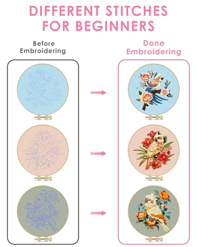 TINDTOP Embroidery Kit for Adult, Parrot Embroidery Stitch Practice kit - color: Parrot