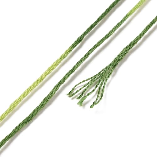 10 Skeins Green 0.5mm 6-Ply Polyester Embroidery Floss Cross Stitch Threads Segment Dyed Gradient for DIY Craft Hand Sewing Knitting DIY Crafts Jewelry Making 8.75 Yards(8m)/Skein - color: Green
