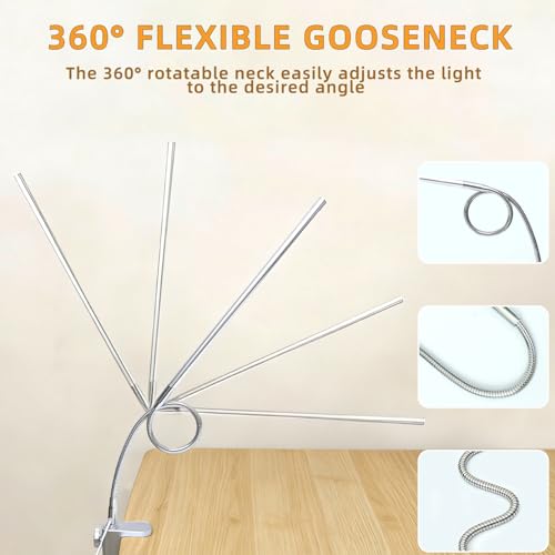 Space Aluminum LED Desk Lamp with Clamp Reading Study Desk Light