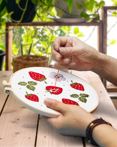 TINDTOP Embroidery Kit for Adult, 4 Pack Cross Stitch Practice Kits - color: Strawberry