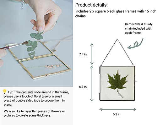 Beedecor Glass Frame for Pressed Flowers, Leaf and Artwork - Hanging Square Metal Picture Frames, Clear Double Glass Floating Frame, Wall Decor Photo Display, Set of 2 Flower Press Frames with Chain - color: Gunmetal black, size: 6x6