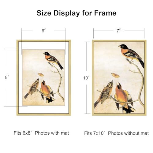 BKABOT 7x10 Brass Aluminum Photo frames 1 Pack HD Glass Mat 6x8 Wall Table - color: Brass, size: 7x10-1P