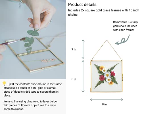 Glass Frame for Pressed Flowers, Leaf and Artwork - Hanging Gold 8x8 Square Metal Picture Frames, Clear Double Glass Floating Frame, Wall Decor Photo Display, Set of 2 Flower Press Frames with Chain - color: Gold, size: 8x8