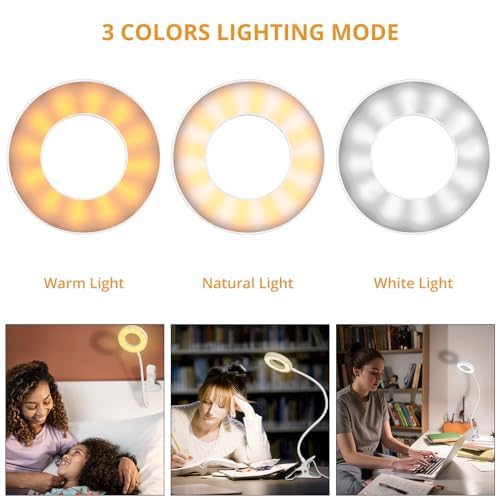 Woputne Desk Lamp Clip on Desk Reading Lights for Books in Bed (White) - size: White-1 Piece-Standard-With Adapter