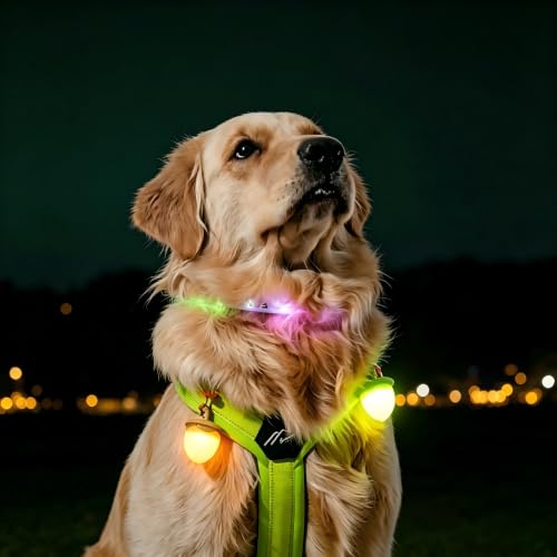 LaRoo LED Dog Collar Charm, Rechargeable Light with 3 Modes, Natural Rubber Pet Safety Light, 5 Hour Glow(Yellow) - color: Yellow-C