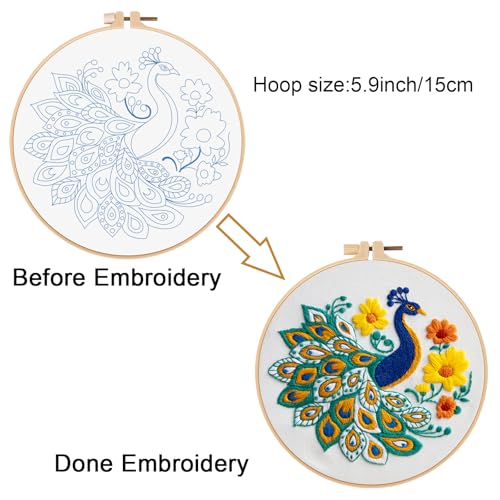 Louise Maelys Embroidery Kit for Beginners Peacock Floral DIY for Adults - color: Peacock Flower