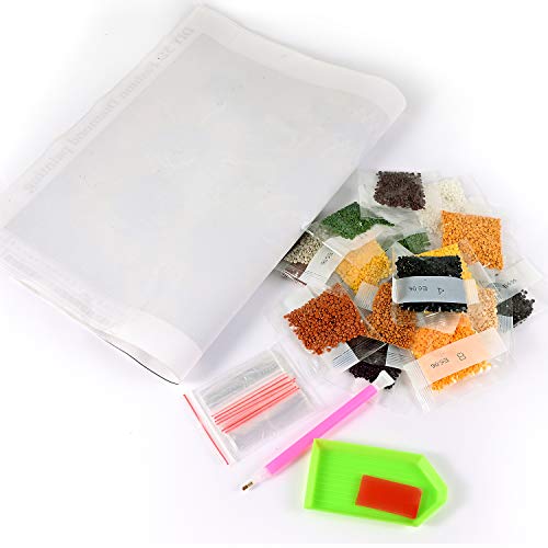 KTHOFCY 5D DIY Diamond Painting Kits for Adults Kids, Scenery Full Drill Embroidery Cross Stitch Crystal Rhinestone Paintings Pictures Arts Wall Decor Painting Dots Kits 15.7X11.8 in