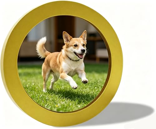 alfyng Round Photo Frame Wooden Wall Hanging Picture Frames Gold 6 inch - color: Gold, size: 6 inch