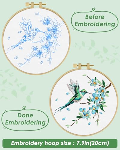 ERKOON Embroidery Kit for Beginners Adult, Hummingbird Embroidery Set - color: Green Hummingbird