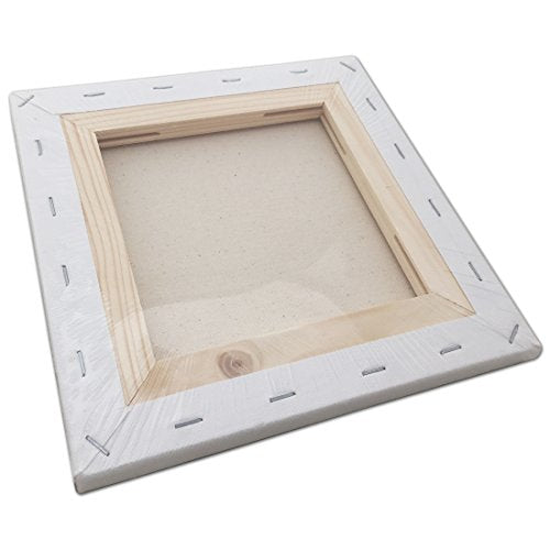 LWR CRAFTS Stretched Canvas 8" X 8" Pack of 6 - size: 8"x8"x6 (standard)