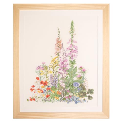 Thea Gouverneur - Counted Cross Stitch Kit - American Wildflowers - Aida - 16 Count - Embroidery Kits for Adults - Crafts - DMC Embroidery Threads and Other Cross Stitch Supplies Included - 554A - color: 554A Aida