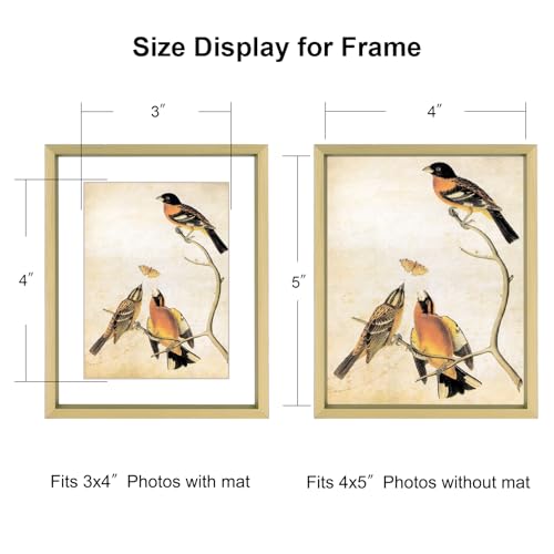 BKABOT 4x5 Brass Aluminum Photo Frame HD Glass 1 Pack 3x4 Mat Tabletop Wall - color: Brass, size: 4x5-1P