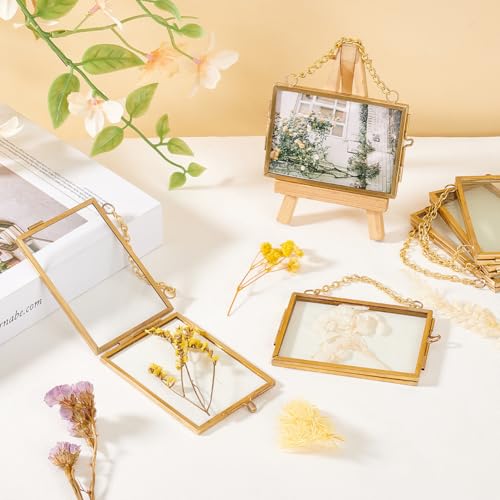 OLYCRAFT 6pcs Wall Hanging Mini Photo Frames 3x2 Inch Double Glass Picture Frame Gold Folding Frame DIY Vintage Artwork Display Frames for Wall Hanging Pressed Flowers Pictures Home Decor - size: 3x2 Inch
