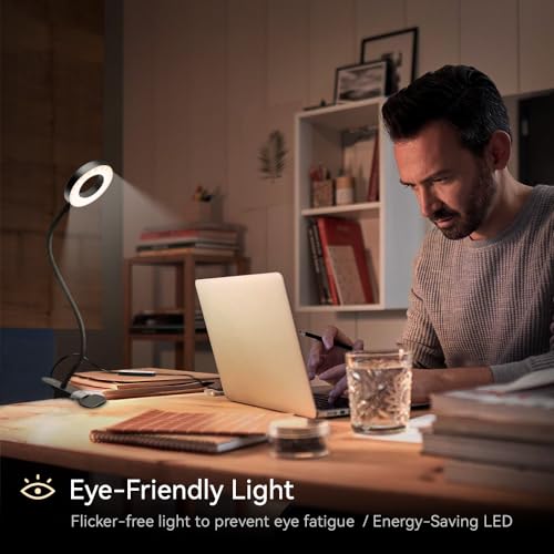 LED Desk Lamp Table Lamp with USB Charging Port (2 Pack Clip Lamp) - style: 2 Pack Clip Lamp