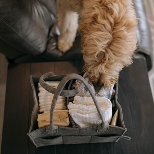 Parker Baby Co. Felt Diaper Caddy Organizer - Regular, Charcoal - color: Charcoal (Heathered Charcoal), size: Regular