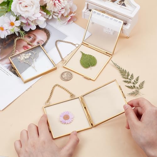 OLYCRAFT 6pcs Mini Hanging Glass Frame 2.9 Inch Wall Hanging Photo Frames Double Glass Picture Frame with Chain Alloy Frame DIY Vintage Artwork Display Frames for Pressed Flowers Pictures Home Wall - size: 2.9 Inch
