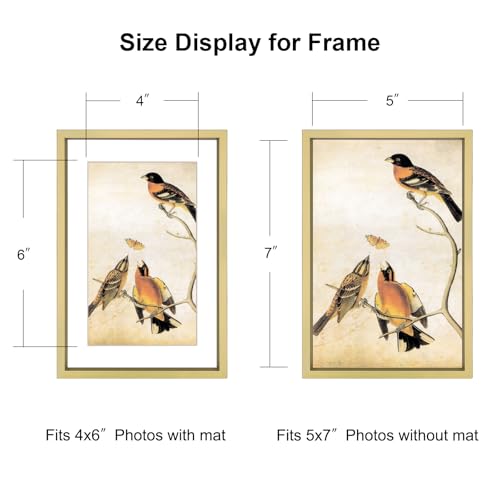 BKABOT 5x7 Brass Metal Photo Frame HD Glass 3 Pack 4x6 Mat Tabletop & Wall - color: Brass, size: 5x7