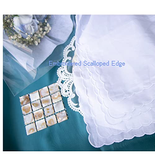 6 Pack of Ladies Embroidery Cotton Handkerchiefs Lace Wedding Hankies - color: E1 New