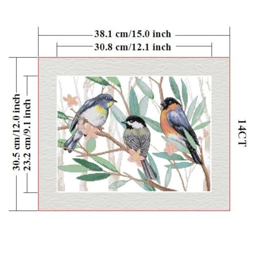 ITSTITCH Stamped Cross Stitch Kits - Full Range of Embroidery Patterns for Beginners or Adults,14 CT 2 Strands DIY Counted Needlepoint Arts Craft-Three Little Birds 15×11.8 inch - color: Three Little Birds
