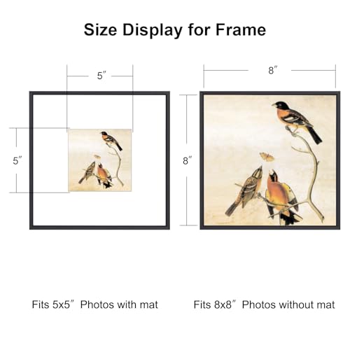 BKABOT 8x8 Black Square Picture Frame HD Glass 1Pack 5x5 Mat Wall Table - color: Black, size: 8x8-1P