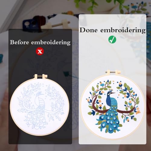 Embroidery Kit for Beginners, Needlepoint Kits for Adults with Peacock Stamped Pattern Hand Crafts, Adults Starter Cross Stitch Kit DIY Needlepoint with Hoop, Needles Stamped Patterns DIY Supplies - color: Peacock