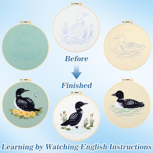 Mindsoft 3 Set Needlepoint Kit for Beginners with Hoop,Loon - style: Loon
