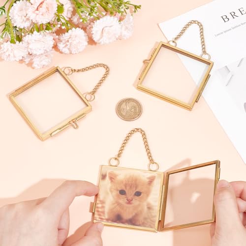 OLYCRAFT 6pcs Gold Mini Glass Hanging Frame 2.1x2.1 Inch Gold Metal Picture Frames Clear Double Glass Floating Frames Hanging Artwork Display Frame for Pressed Flowers Leaf and Artwork (Pack of 3) - size: 2.1x2.1 Inch (Pack of 3)