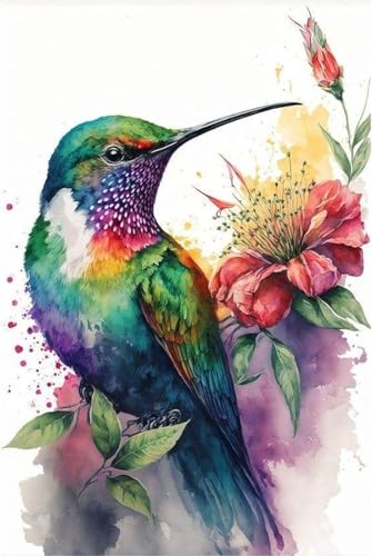Hummingbird Stamped Cross Stitch Kits，Needlepoint Cross-Stitch Patterns Dimensions Needlecrafts Embroidery Kits，DIY Art Bird Home Wall Decor Perfect for Relaxation 15.7x11.8 Inches - color: D020