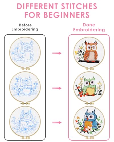 TINDTOP Embroidery Kit for Adults, Owl Embroidery Practice Kit - color: Owl