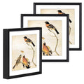 BKABOT 6x6 Black Metal Photo frames 3 Pack HD Glass Mat 5x5 Wall Table - color: Black, size: 6x6