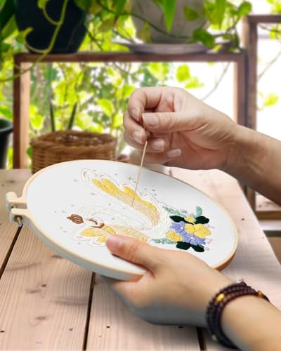 TINDTOP 3 Pack Embroidery Kit for Adult Beginners, Embroidery DIY Starter Kit, with Swan Stamped Patterns, Hoop, Tools, Colorful Threads with Needles, Instructions - color: Swan