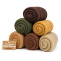Woolbuddy Merino Wool Roving Kit for Needle Felting (Fall) 10g Per Color - color: Wool Bag Fall