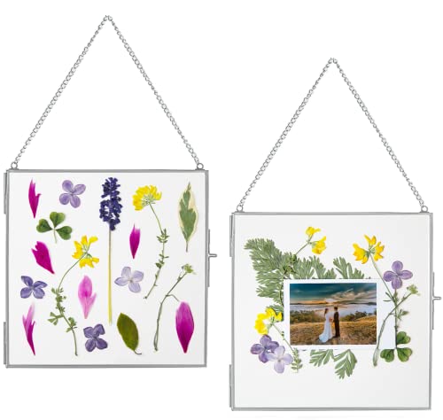 Glass Frame for Pressed Flowers, Leaf and Artwork - Hanging Square Metal Picture Frames, Clear Double Glass Floating Frame, Wall Decor Photo Display, Set of 2 Flower Press Frames with Chain (Silver, 6x6) - color: Chrome, size: 6x6