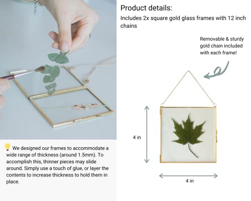 Beedecor Double Glass Frame for Pressed Flowers, Polaroid Photo and Artwork,Hanging Pressed Flower Frames,Wall Decor Clear Floating Frame Display for Kids Art and Memento (Gold, 4x4) - color: Gold, size: 4x4
