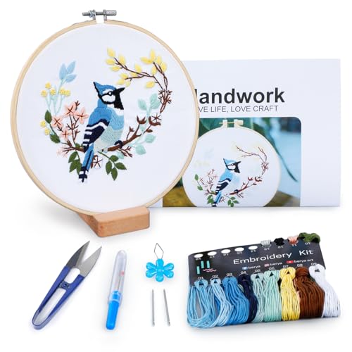 Hummingbird and Flower Embroidery Kit for Adults, DIY Embroidery Kits with Original Design Patterns, Learn to Embroider Kit Beginner with Needles and Thread, Clear Instructions and Video (BEB004) - color: birds red