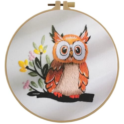 Embroidery Starter Kit for Adult Beginner with Owl Pattern Hand Stitch Set - color: Owl