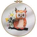 Embroidery Starter Kit for Adult Beginner with Owl Pattern Hand Stitch Set - color: Owl
