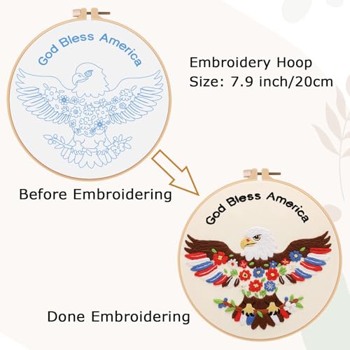 Nuberlic Embroidery Kits for Beginner Adults,God Bless - color: OWL