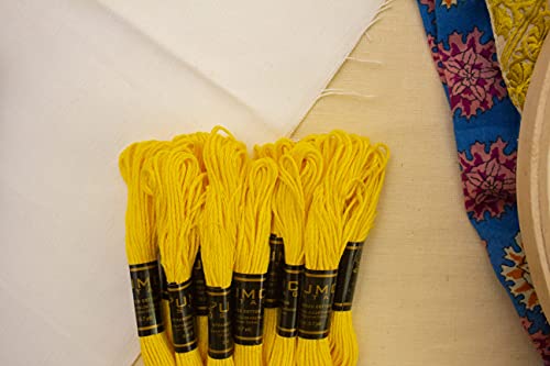 Pack of 12 Premium Embroidery Thread | 100% Egyptian Cotton Premium Skeins | Cross Stitch Embroidery Floss | Oeko TEX Certified Stranded Cotton | (Canary Yellow 298) - color: Canary Yellow 298