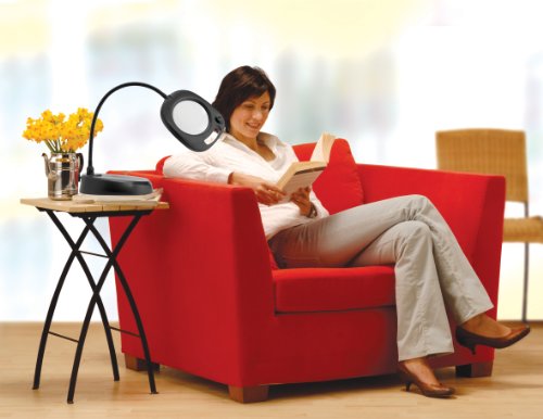 Daylight Company LED Floor Lamp and Table Lamp, Standing Lamp for Living Room, Bedroom, Salon, Office, Touch Control, Flexible Arm, Sleek Design, Multipurpose, Magnifier Lamp, Black