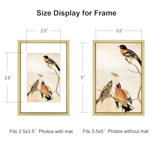 BKABOT 3.5x5 Brass Photo frames 3 Pack HD Glass Mat 2.5x3.5 Wall Table - color: Brass, size: 3.5x5