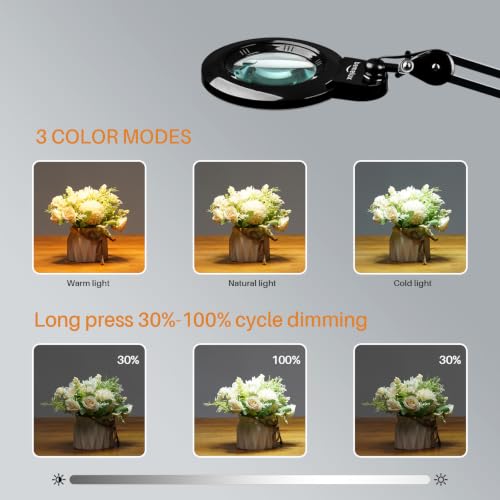 Bifocal Magnifying Lamp with Clamp, 5D with 20D, Black - color: Black