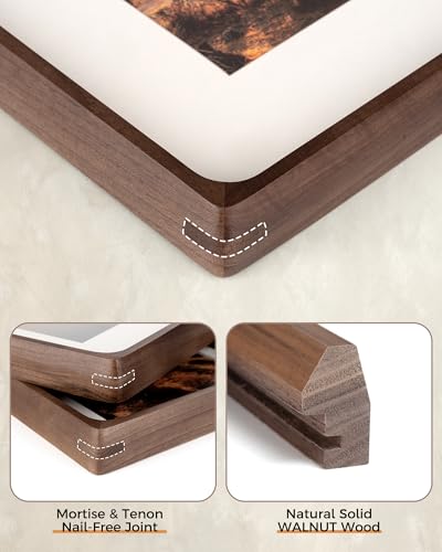 RICHFOCUS 8x10 Picture Frame USA-Sourced Natural Walnut Solid Wood Photo Frame Handcrafted Rounded Corner Wooden Frame with Real Glass Display Photos 5x7 with Mat or 8x10 Without Mat - color: Walnut, size: 8x10-1PC