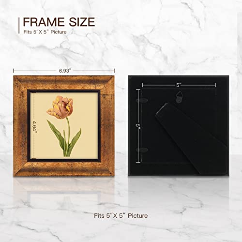 XUANLUO 5x5 Picture Frames Set of 4,Rustic Retro Photo Frame(Gold) - color: Gold-4pcs, size: 5 x 5 inch