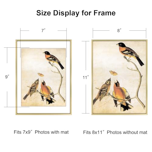 BKABOT 8x11 Brass Aluminum Photo frames 1 Pack HD Glass Mat 7x9 Wall Table - color: Brass, size: 8x11-1P